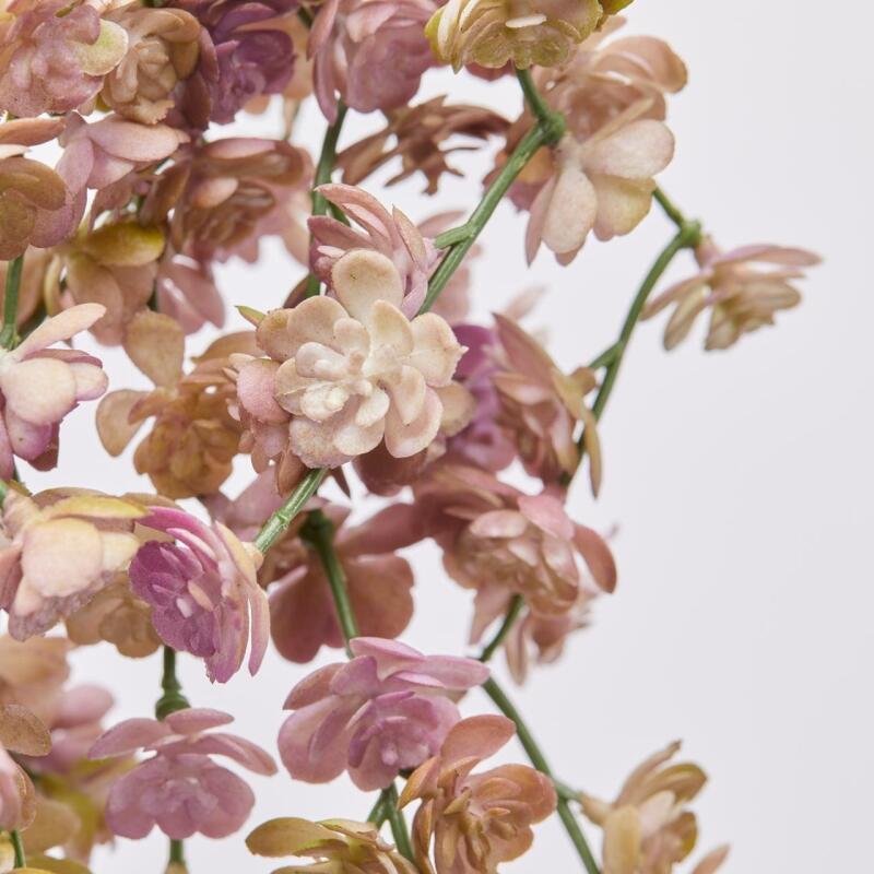 EDG Enzo De Gasperi Echeveria Olis Hängender Busch H 44 Cm Künstliche Pflanze Rosa Hellgrün