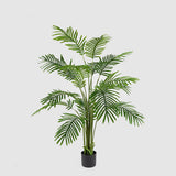 EDG Enzo De Gasperi Palma Areca C/Vaso H150 C3 Grün