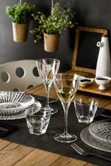 RCR Cristalleria Italiana Fusion - DOF - Set aus 6 Gläsern aus Glas