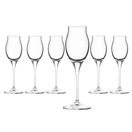 RCR Cristalleria Italiana Invino - I10 Likör - Set von 6 Likorgläsern aus Glas