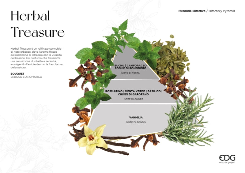 EDG Enzo De Gasperi Raumduft Flasche Atena Herbal Treasure 180 ml – Weihnachts-Raumduft