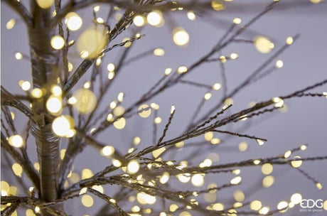 EDG Enzo De Gasperi Weihnachtsbaum Buche Black Rich 1440 MicroLED H150 Ø105 cm IP44 – Leuchtender Außenbaum