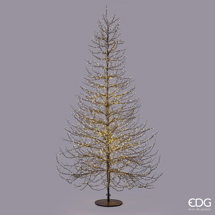 EDG Enzo De Gasperi Weihnachtsbaum Faggio Rich Black 6590 MicroLED H300 Ø180 cm IP44 – Leuchtender Außenbaum