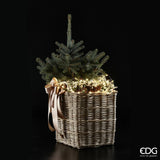 EDG Enzo De Gasperi Weihnachtslichter MicroLed X 20 140 + 50 Cm Elfenbein
