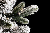 EDG Enzo De Gasperi Albero di Natale Pino Merano Innevato H 240 Cm D 148 Cm con 950 Led  Bianco Verde