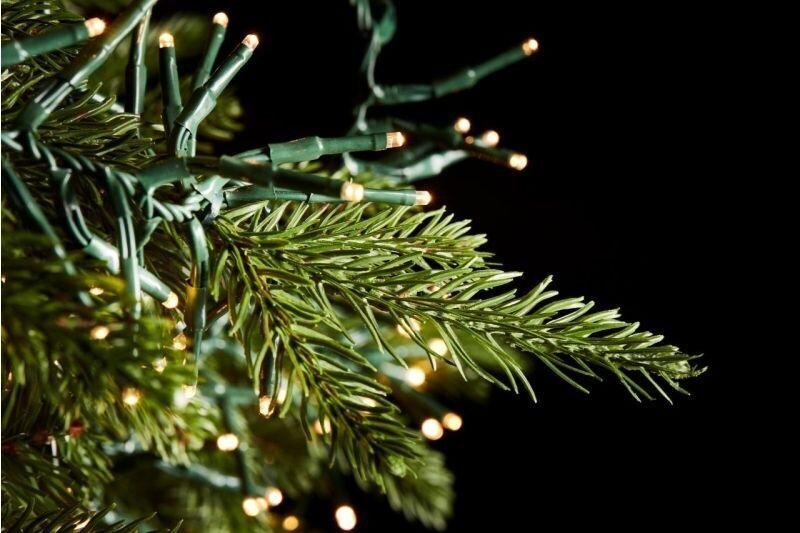 EDG Enzo De Gasperi Weihnachtsbaum Fichte Spark H 180 Cm D 125 Cm 5.060 LED Grün