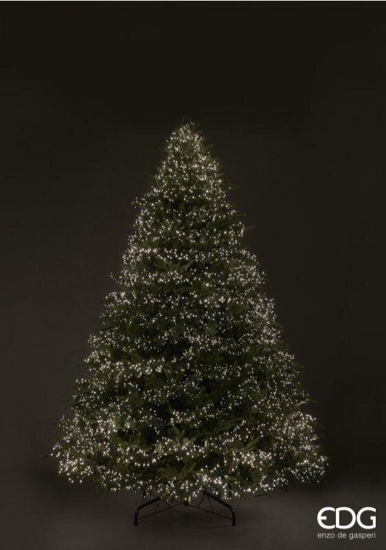 EDG Enzo De Gasperi Weihnachtsbaum Fichte Spark H 240 Cm D 184 Cm 7.200 LED