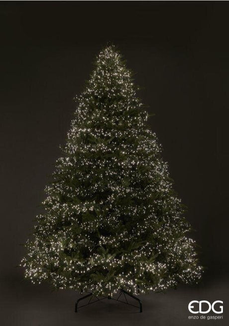 EDG Enzo De Gasperi Weihnachtsbaum Kiefer Spark H 270 Cm D 198 Cm 8.400 Led Grün