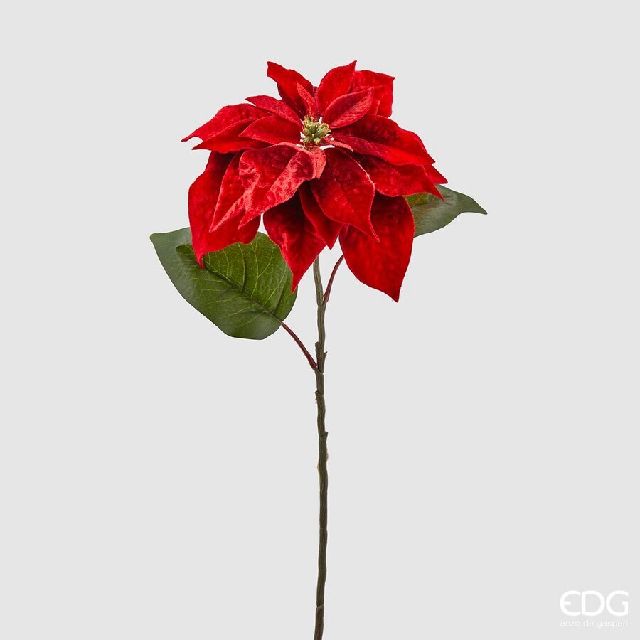 EDG Enzo De Gasperi Stella di Natale Bell in Velluto con Foglie Red H71 cm – Decorazione Natalizia
