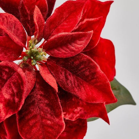 EDG Enzo De Gasperi Christstern Bell in Samtstoff mit Blättern Red H71 cm – Weihnachtsdekoration