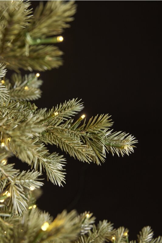 EDG Enzo De Gasperi Weihnachtsbaum Silberfarbene Fichte 5.000 LED H 240 cm D 166 cm IP44