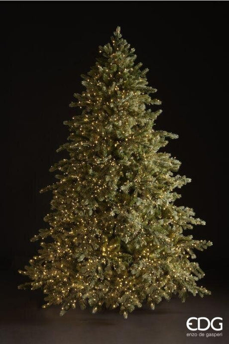 EDG Enzo De Gasperi Weihnachtsbaum Silberkiefer 8.500 LED H 300 cm D 192 cm IP 44