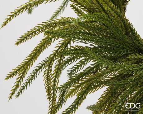 EDG Enzo De Gasperi Weihnachtskranz aus Cryptomeria Grün Ø35 cm – Dekorative Girlande für Türen, Wände und Weihnachtsschmuck