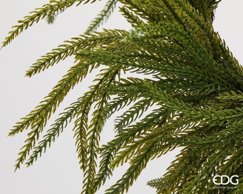 EDG Enzo De Gasperi Weihnachtskranz aus Cryptomeria Grün Ø35 cm – Dekorative Girlande für Türen, Wände und Weihnachtsschmuck