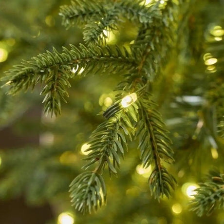 EDG Enzo De Gasperi Pino Natalizio Lucciole mit Vase 1600 LED H150 D 110 cm IP44 Grün – Leuchtender Weihnachtsbaum