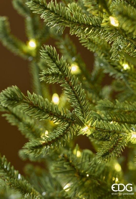 EDG Enzo De Gasperi Weihnachtsbaum Kiefer Weihnachtsbaum H.270 cm 5000 LED Rice Grün IP44