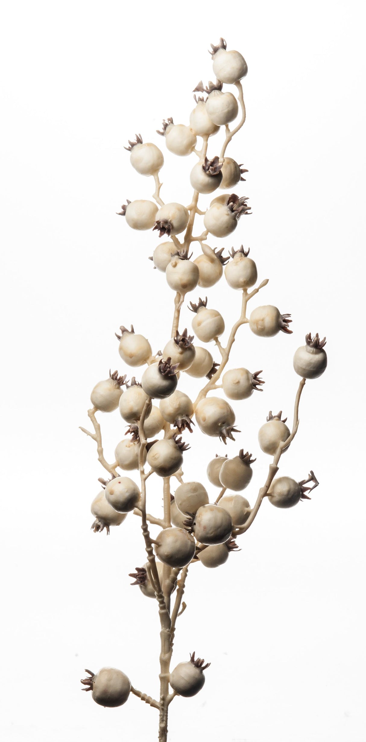 ARPIMEX Tralcio Natale Bacche 80 Cm Crema