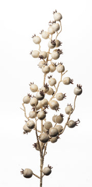 ARPIMEX Tralcio Natale Bacche 80 Cm Crema