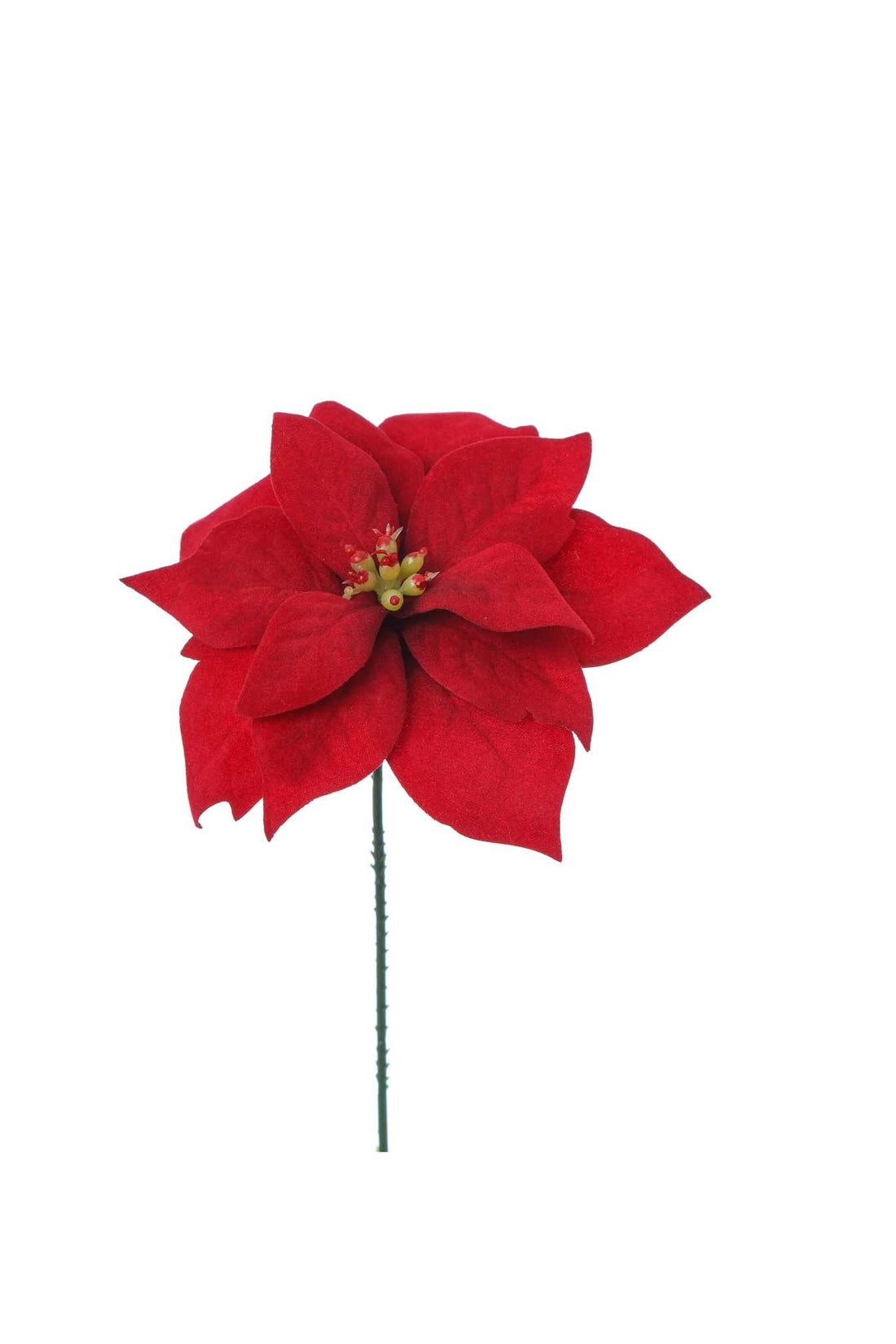 ARPIMEX Pick Weihnachten Mini Weihnachtsstern H 18 Cm
