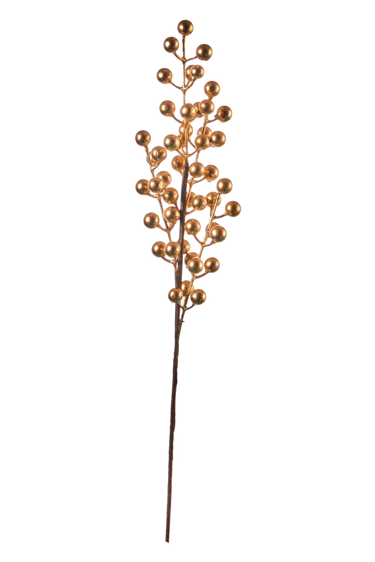 ARPIMEX Ramo Bacca di Natale H 50 Cm Oro