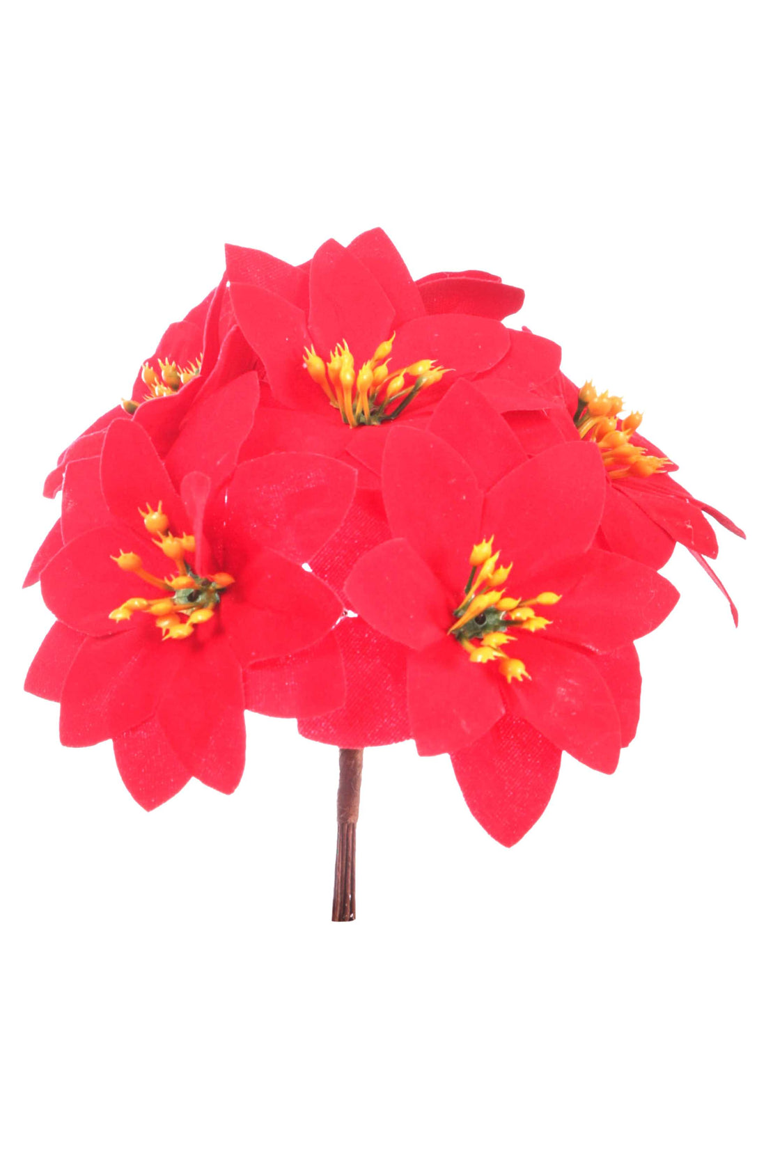 ARPIMEX Strauß 7 Mini Weihnachtssterne H 13 cm Rot