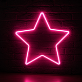 EDG Enzo De Gasperi NeonLed Weihnachtsstern Double Face D 60 cm 240 LED Rosa