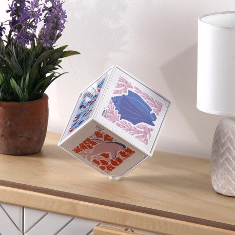 Versa Cubo Foto Bianco "Juno" 10x10