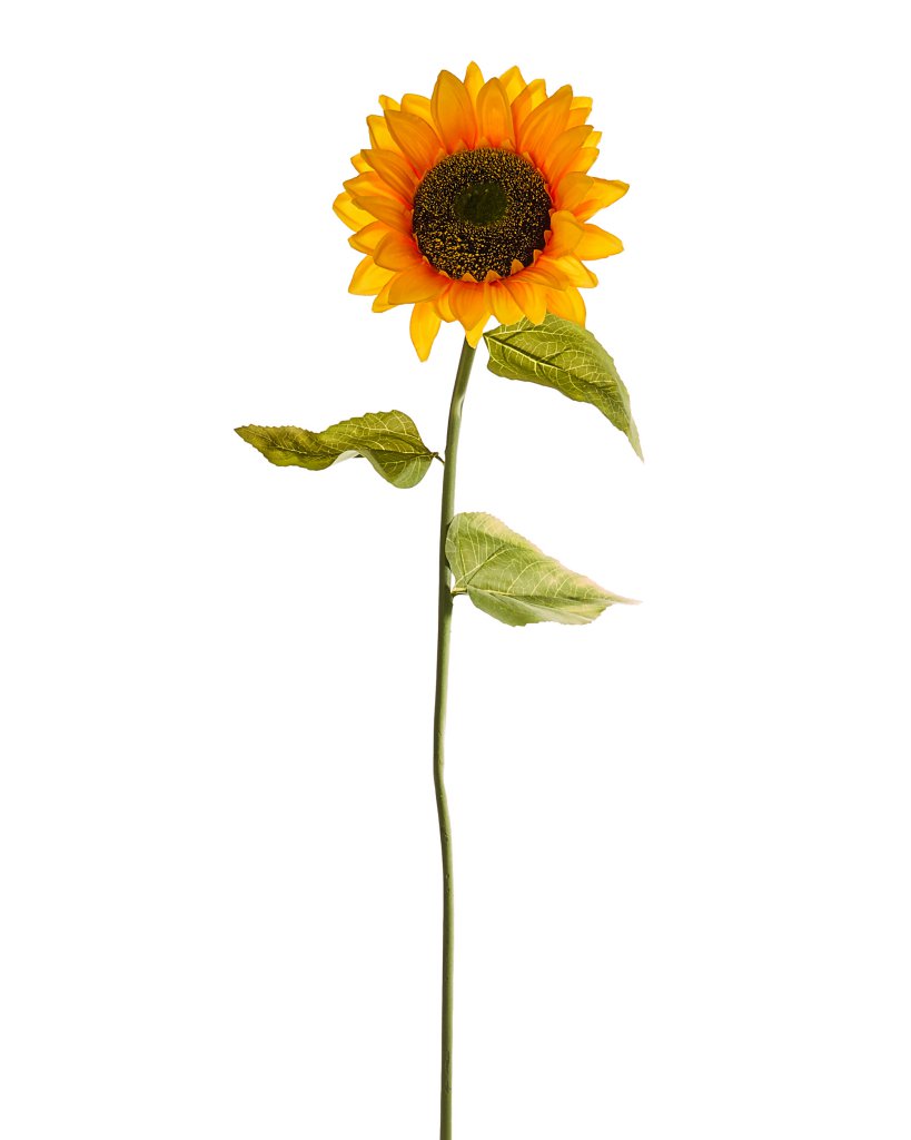 arpimex arpimex girasole artificiale h 100 cm d 25 cm giallo verde ean 8018318848643
