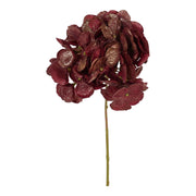 ARPIMEX Pick Ortensia di Natale H 32 Cm Rosso