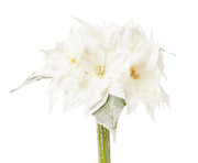 ARPIMEX Bouquet 7 Stelle di Natale Poinsettie 30 Cm Bianco