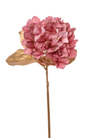 ARPIMEX Hortensie Einzeln H 60 cm Rosa