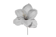 ARPIMEX Pick Amaryllis Schneebedeckt Weihnachten 23 Cm Blau
