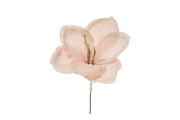 ARPIMEX Pick Amaryllis verschneit Weihnachten 23 Cm Altrosa