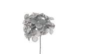 ARPIMEX Pick Hortensie Schneebedeckt 19 Cm Blau