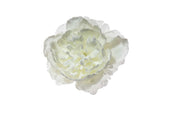 ARPIMEX Pick Pfingstrose Schneebedeckt 23 Cm Weiß