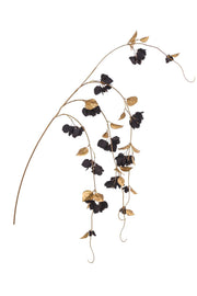 ARPIMEX Bougainvillea Ranke H 155 cm Schwarz