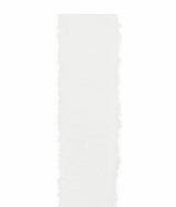 immagine-1-cupidoco-nastro-garza-h-25-mm-l-25-mt-bianco-ean-8058196037357