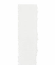 Cupido&Co. Nastro Garza H 25 Mm L 25 Mt Bianco
