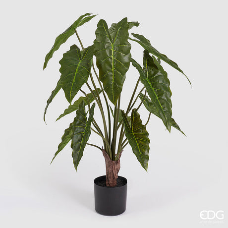 edg enzo de gasperi edg enzo de gasperi alocasia con vaso h 90 cm pianta artificiale verde ean 8059824489586