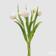 edg enzo de gasperi edg enzo de gasperi bouquete tulipano chiuso x4 h 40 cm con bocciolo bianco ean 8059824612748