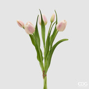 EDG Enzo De Gasperi Tulpenstrauß Geschlossen X4 H 40 cm mit Weiß-Rosa Knospe
