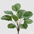 edg enzo de gasperi edg enzo de gasperi calathea cespuglio x10 h 50 cm pianta artificiale verde ean 8059824634726