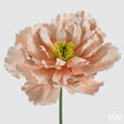edg enzo de gasperi edg enzo de gasperi decoro peonia jumbo h 70 cm d 80 cm rosa crema ean 8059824640178