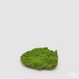 edg enzo de gasperi edg enzo de gasperi muschio zolla artificiale h 5 cm d 20 cm verde ean 8059824617248