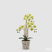 EDG Enzo De Gasperi Orchidea Phalaenopsis x3 mit Knospen und Vase – Künstliche Zierpianze H 65 cm Grün