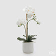 edg enzo de gasperi edg enzo de gasperi orchidea phalaenopsis x3 con foglie e vaso h 56 cm pianta artificiale bianco ean 8059824513793