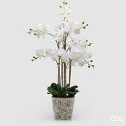 EDG Enzo De Gasperi Orchidee Phalaenopsis x8 mit Knospe und Vase Künstliche Pflanze H 90 cm Weiß