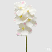 EDG Enzo De Gasperi Orchidee Vanda Zweig H 65 cm Kunstpflanze Elfenbein