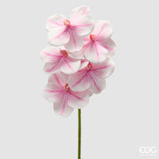 EDG Enzo De Gasperi Orchidee Vanda Zweig H 65 cm Kunstpflanze Weiß Rosa