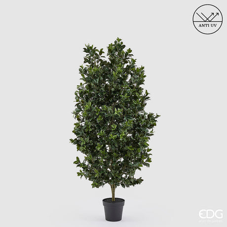 edg enzo de gasperi edg enzo de gasperi pianta artificiale agrifoglio h 157 cm con vaso anti uv verde per interno ed esterno ean 8059824655356